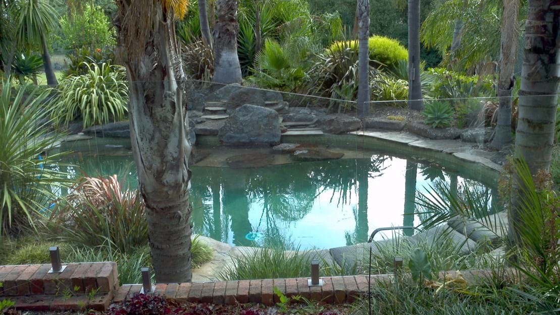 Custom Glass Fencing in Melbourne